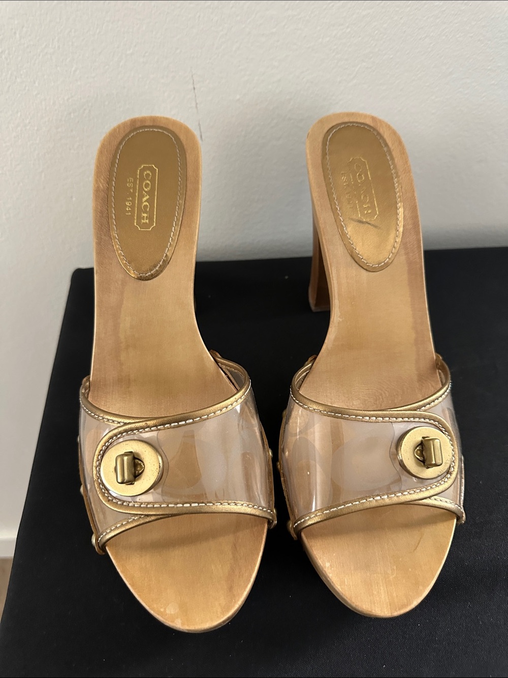 Coach Clear Nude Slide Sandals with Gold-Tone Hardware